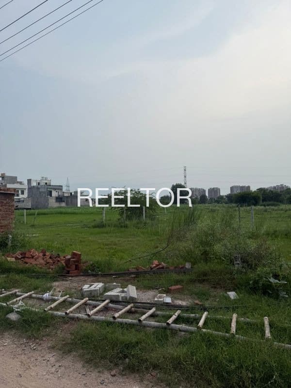Plots For Rent In Darroni Shivpuri Tahsil