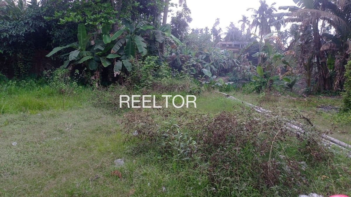 Plots For Rent In Chinna Kuruvadi Mannargudi