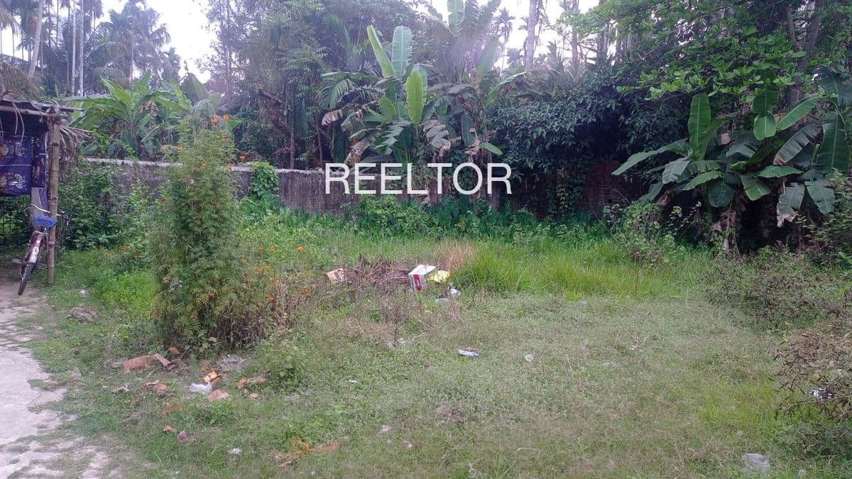 Plots For Rent In Dewarakhedi Buzurg Ujjain