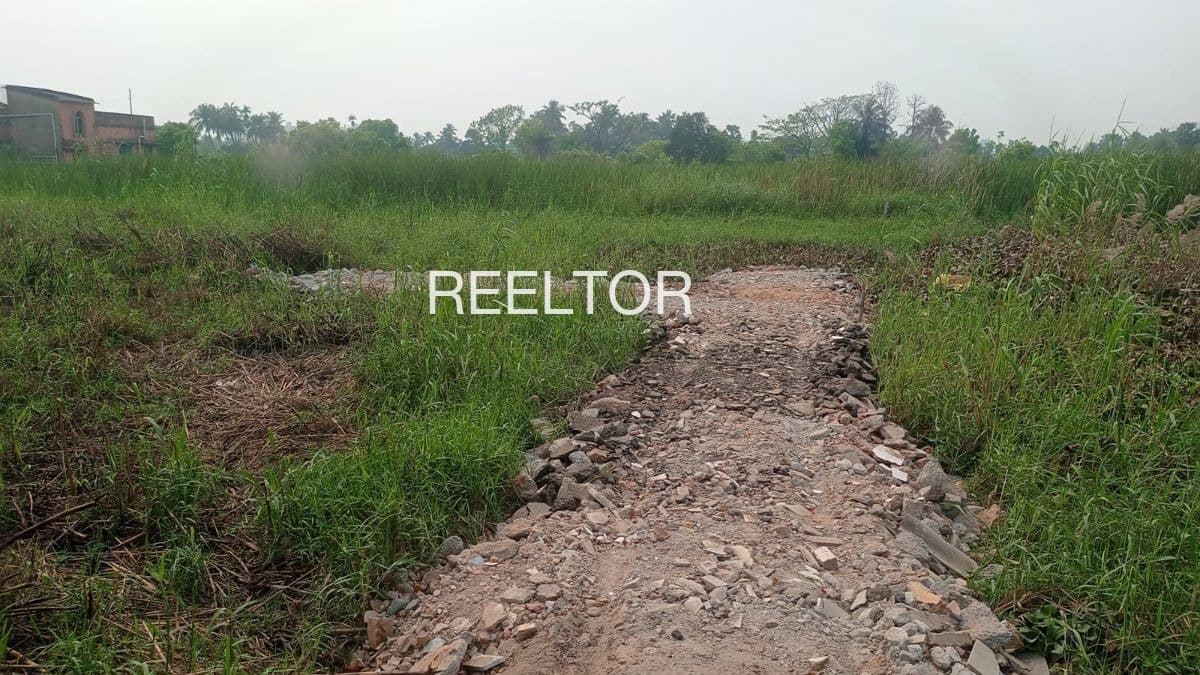 Plots For Rent In Baksari Bhuntar