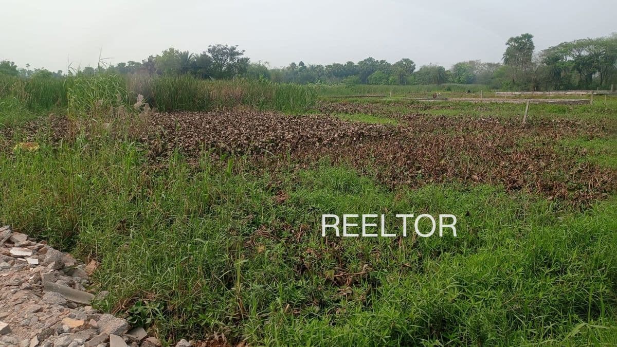 Plots For Rent In Kirting Lahaul