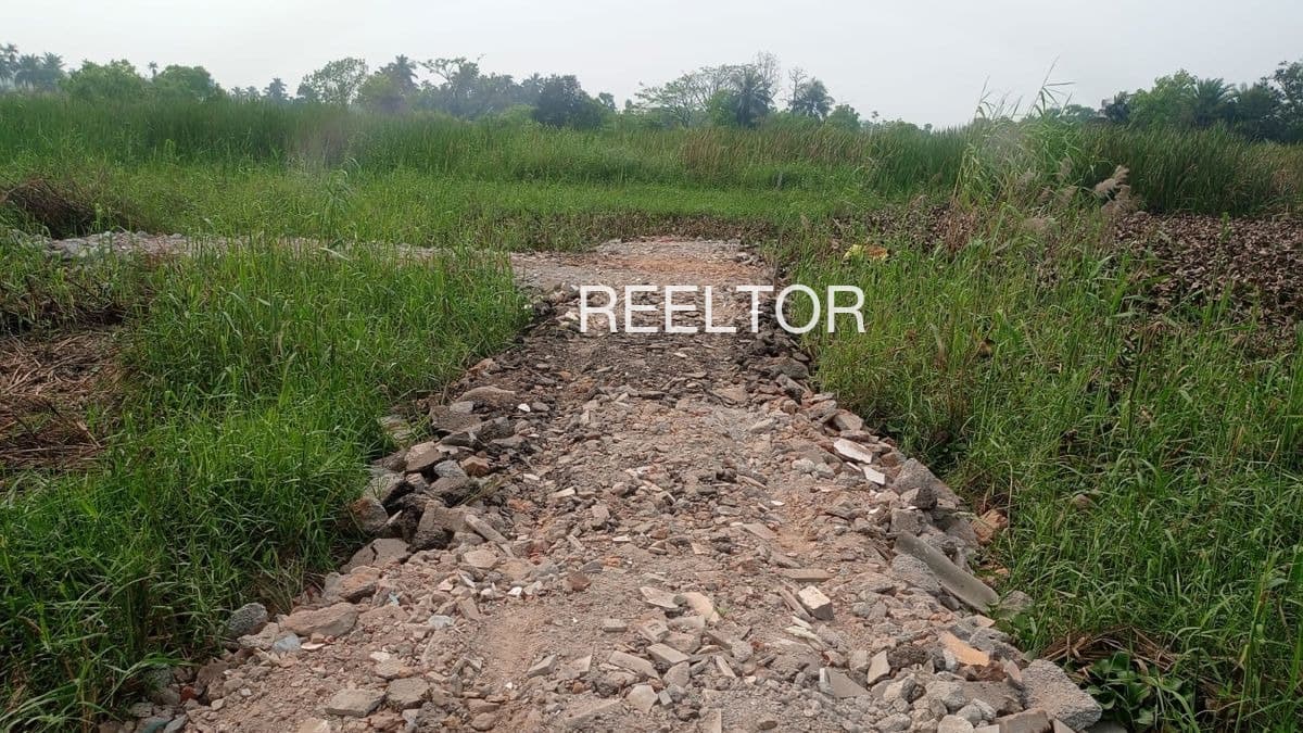 Plots For Rent In Sonepalli Kolar Gold Field