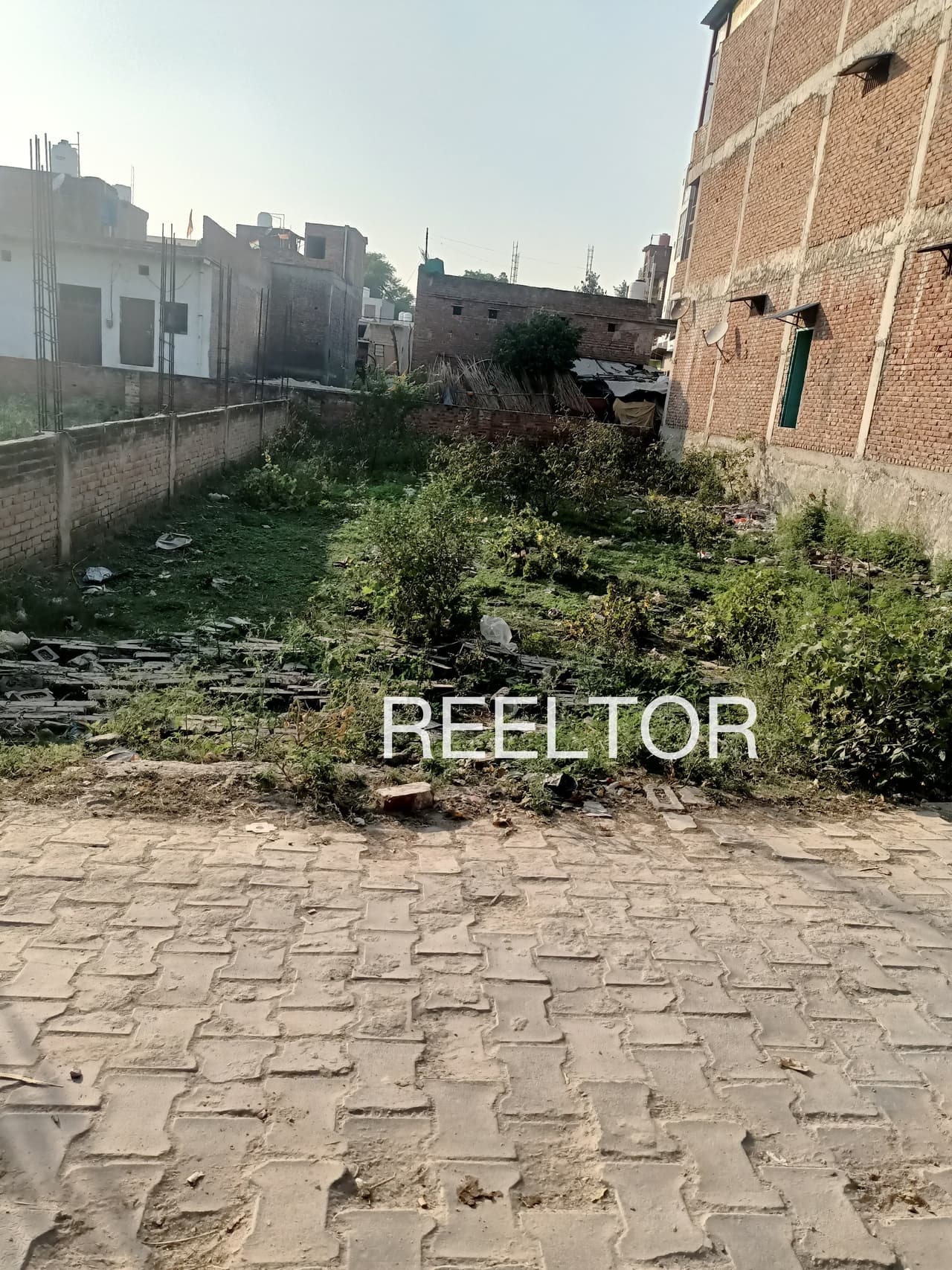 Plots For Rent In Sargipali Gaisilet