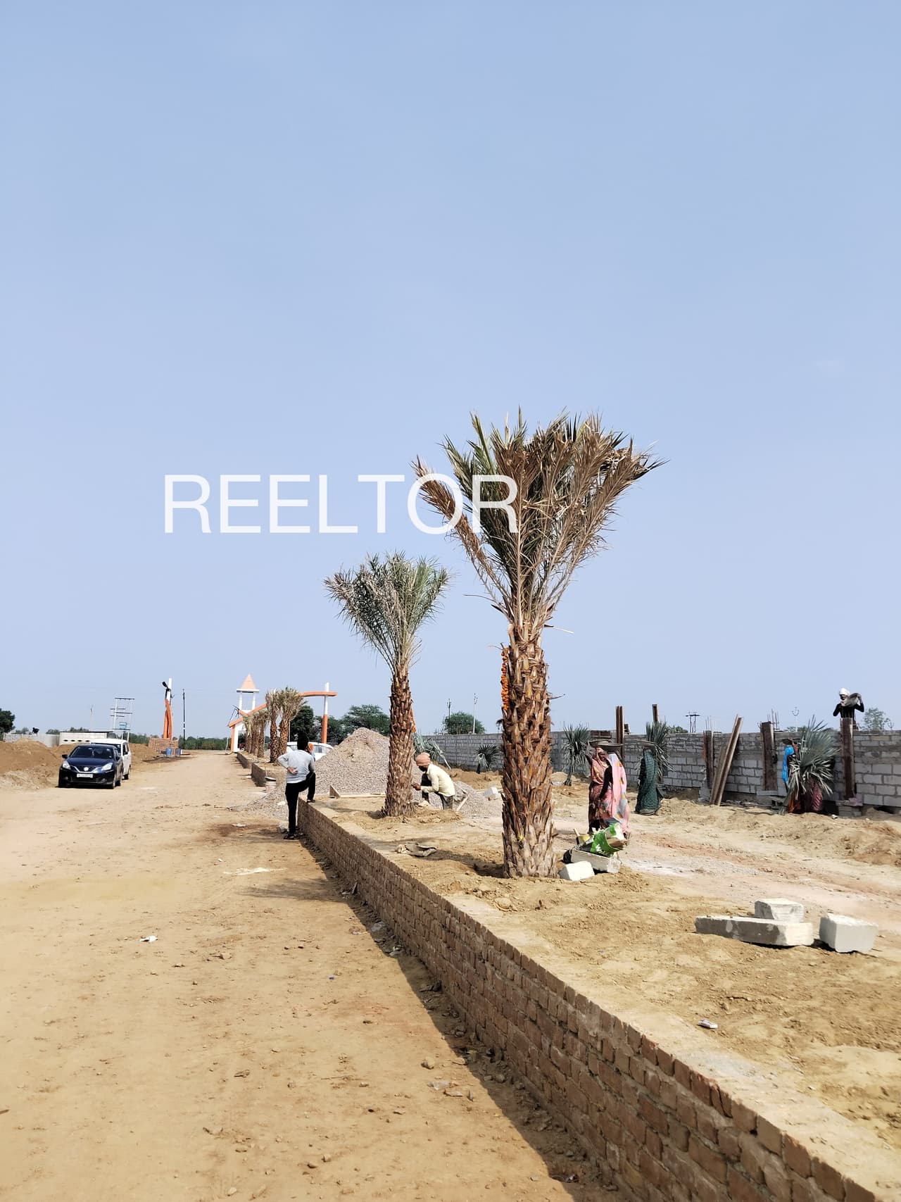 Plots For Rent In Gularwala Tohana