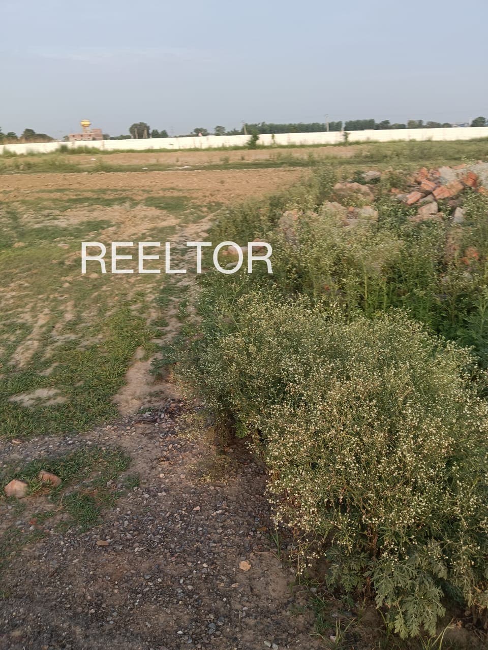 Plots For Rent In Panaul Mandi