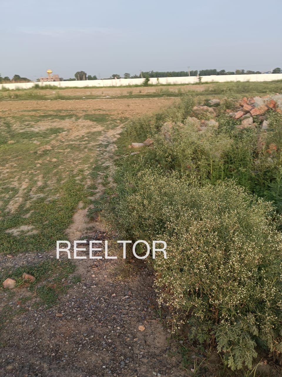 Plots For Rent In Dondvasti Pandharpur