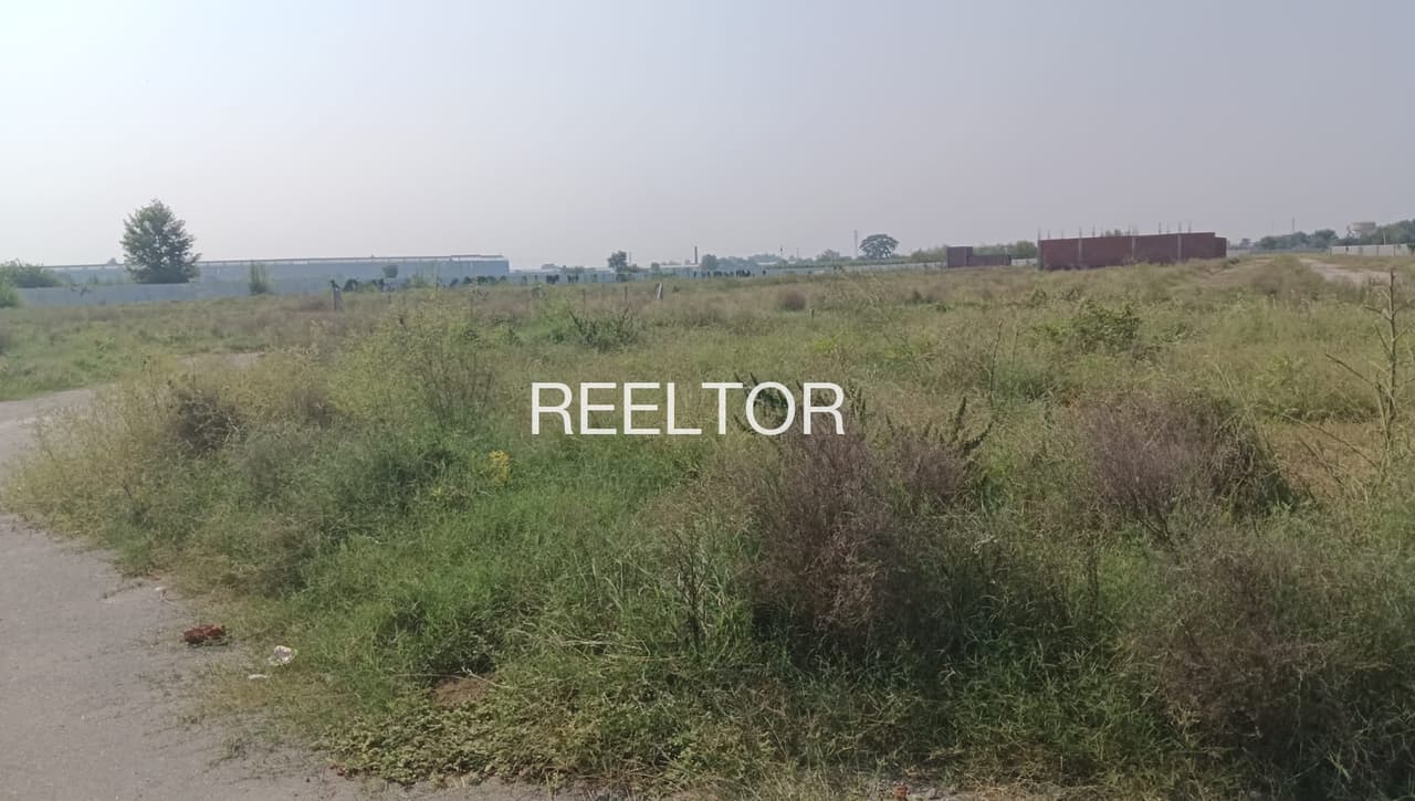 Plots For Rent In Pipalbehar Seoni Malwa