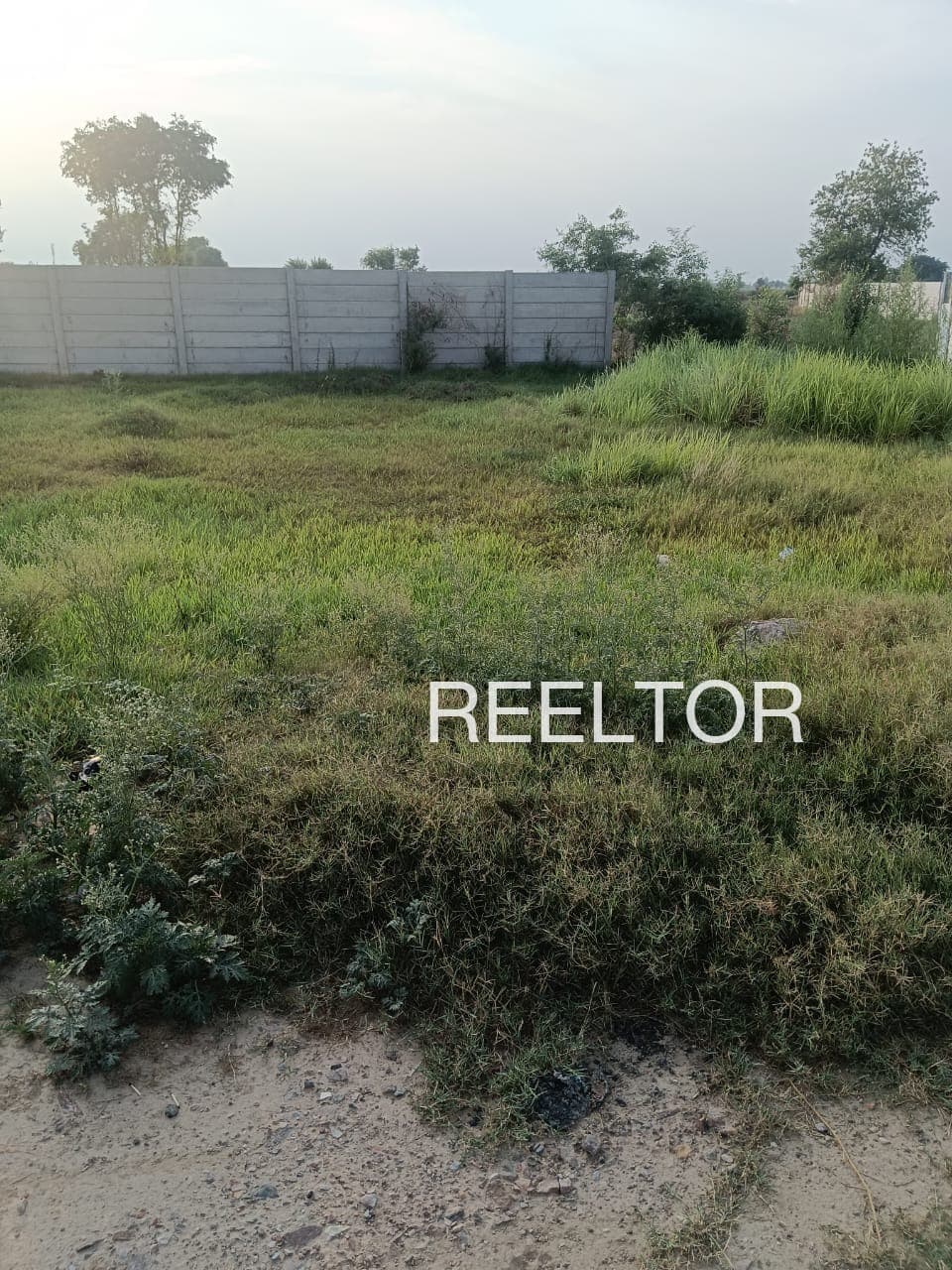 Plots For Rent In Karanpura Poogal