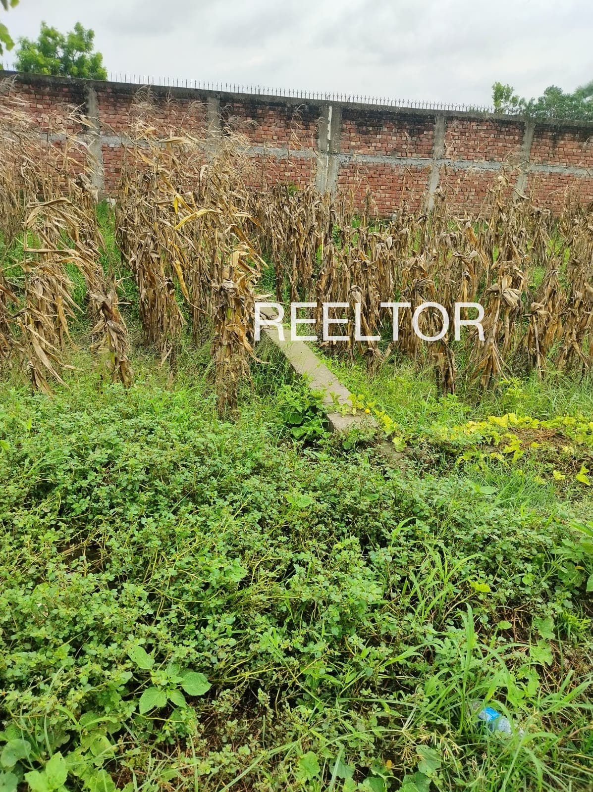 Plots For Rent In Velayarachalil Colony Thamarassery