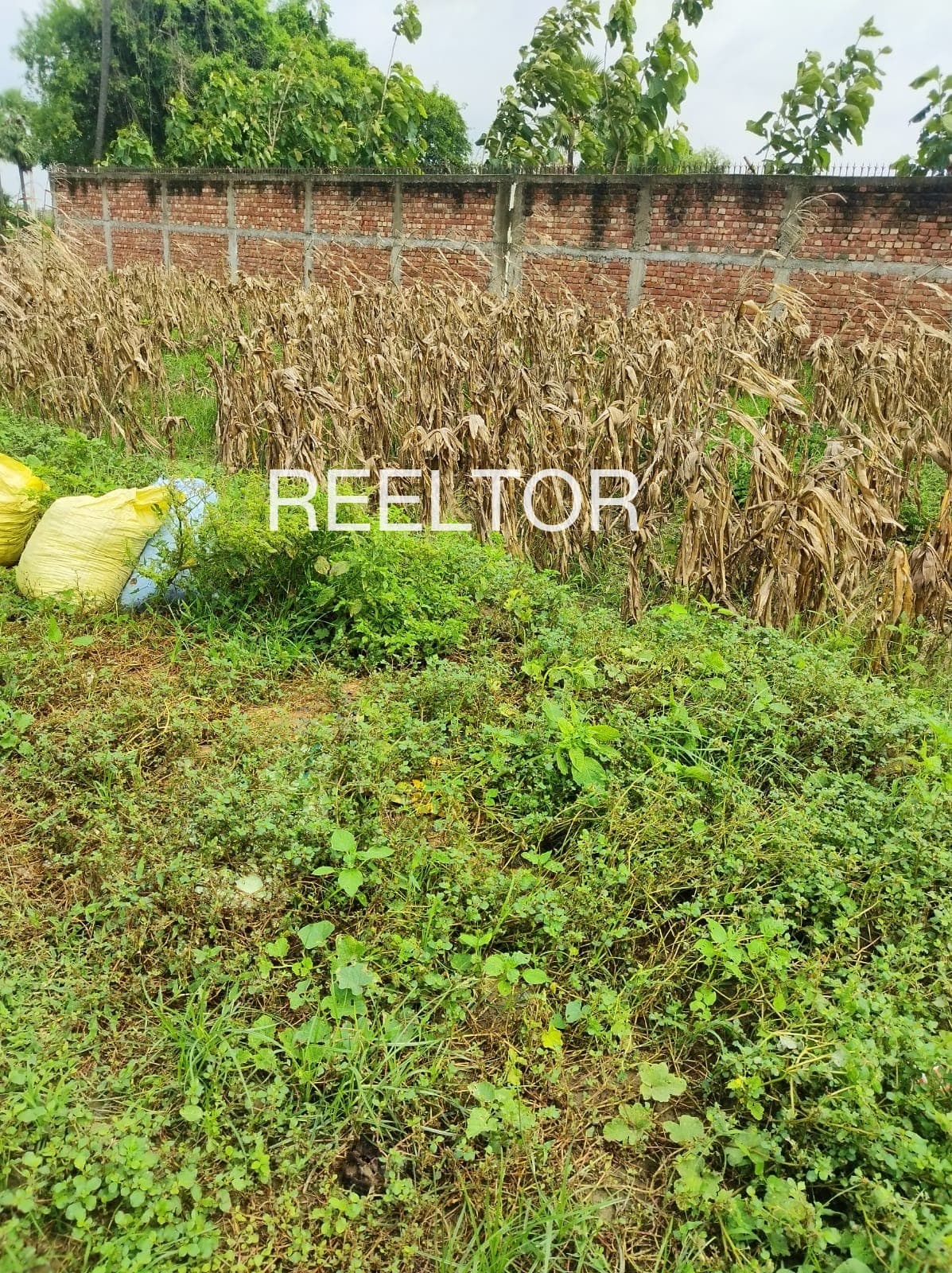 Plots For Rent In Melaipatti Tiruchuli