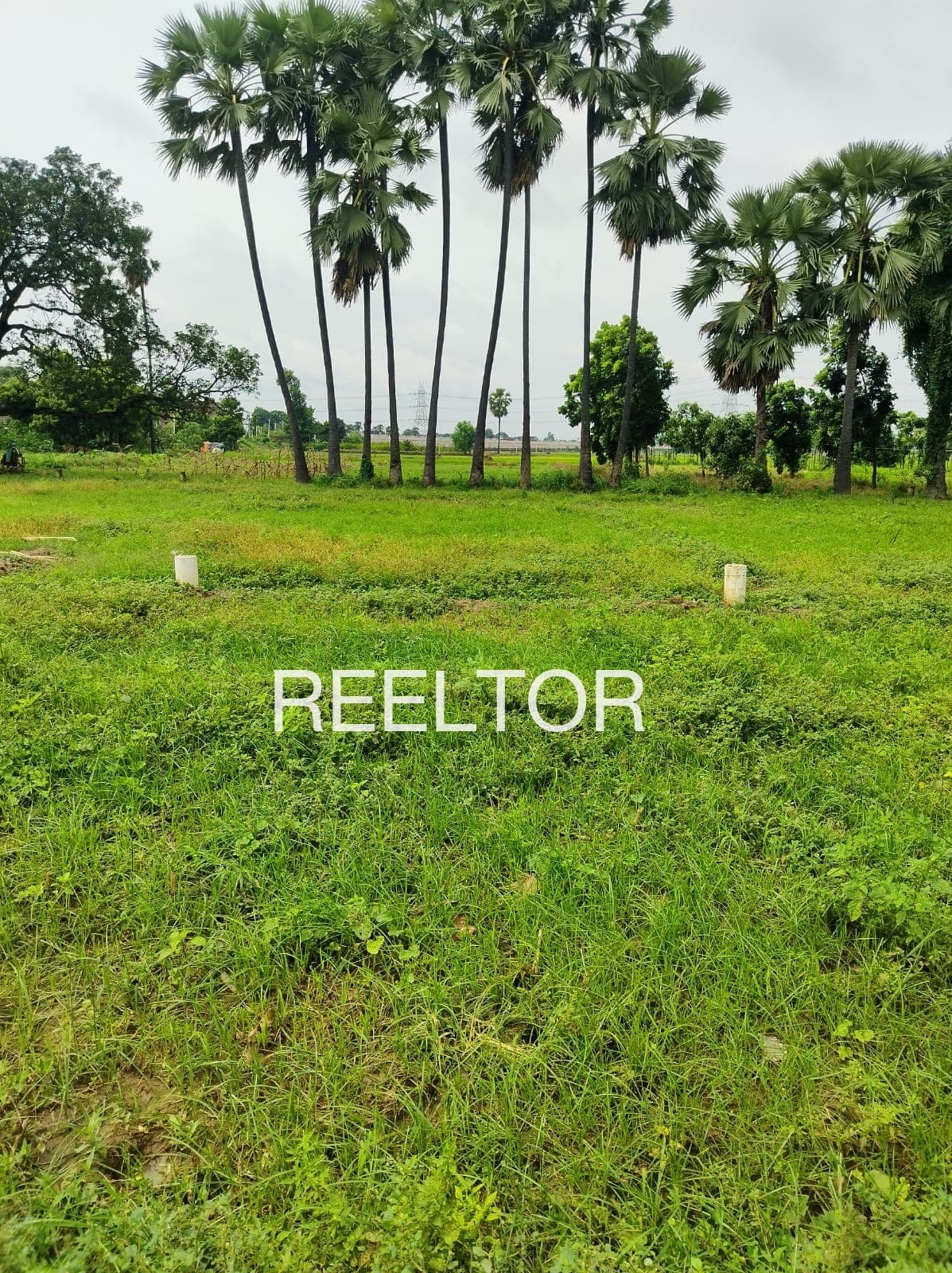 Plots For Rent In Fhulgaon Bhusawal