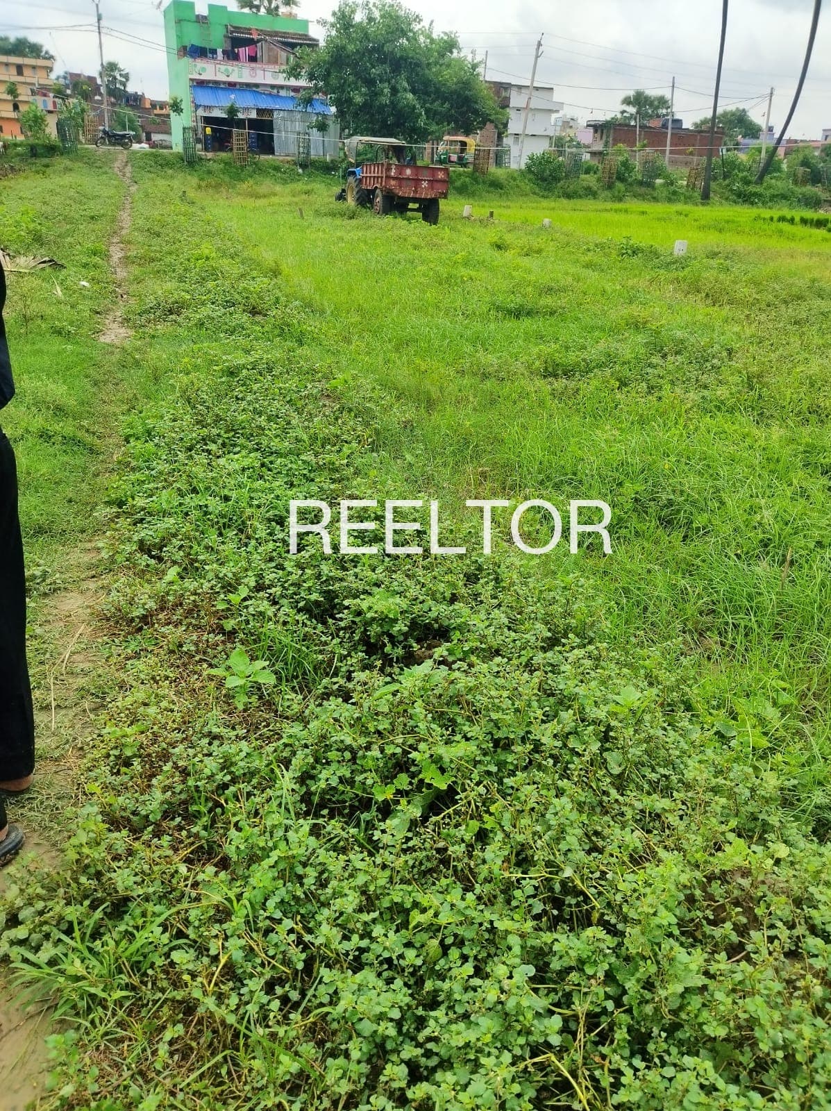 Plots For Rent In Harpaloo Ramsukh Rajgarh