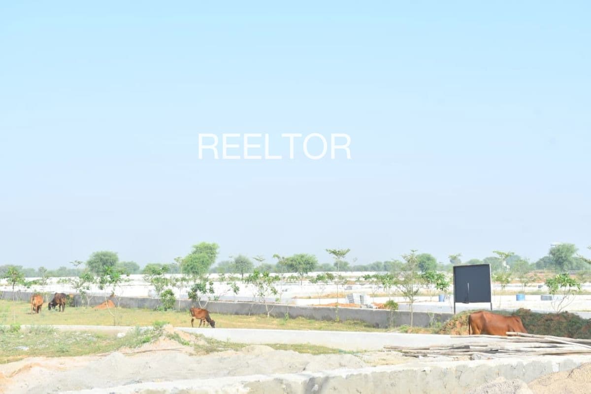 Plots For Rent In Mehgaon Bhokardan