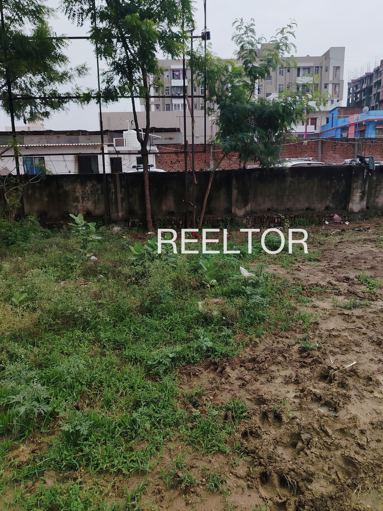 Plots For Rent In Velayarachalil Colony Thamarassery