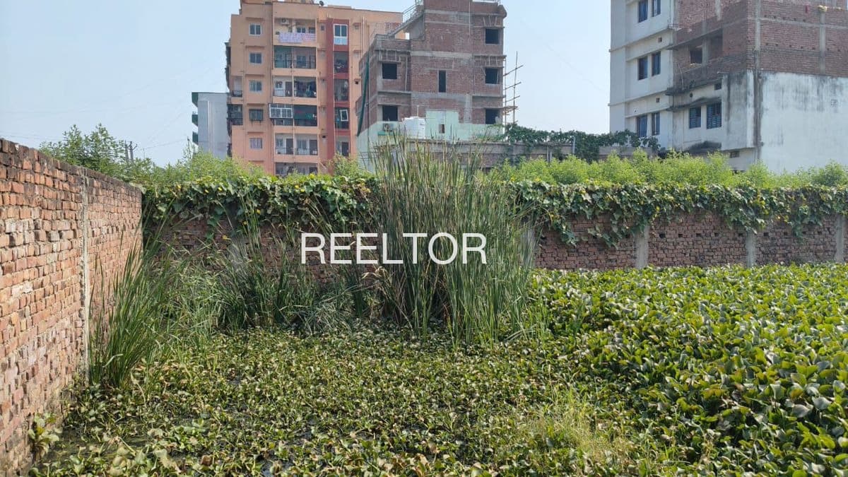 Plots For Rent In Adavihalli Kukunooru