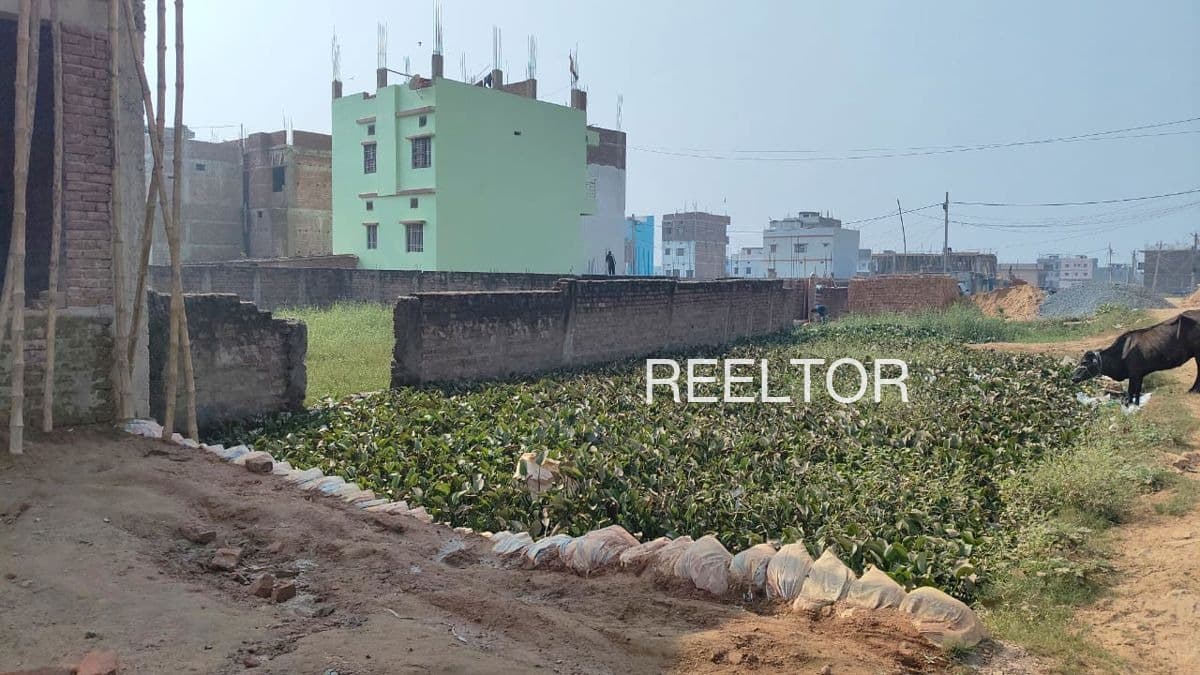 Plots For Rent In Maghera Tohana