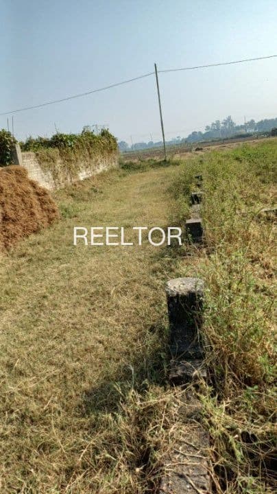 Plots For Rent In Siddaramayyana Palya Kunigal