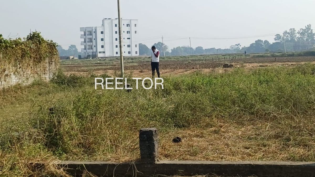 Plots For Rent In Pipaldoja Kushalgarh