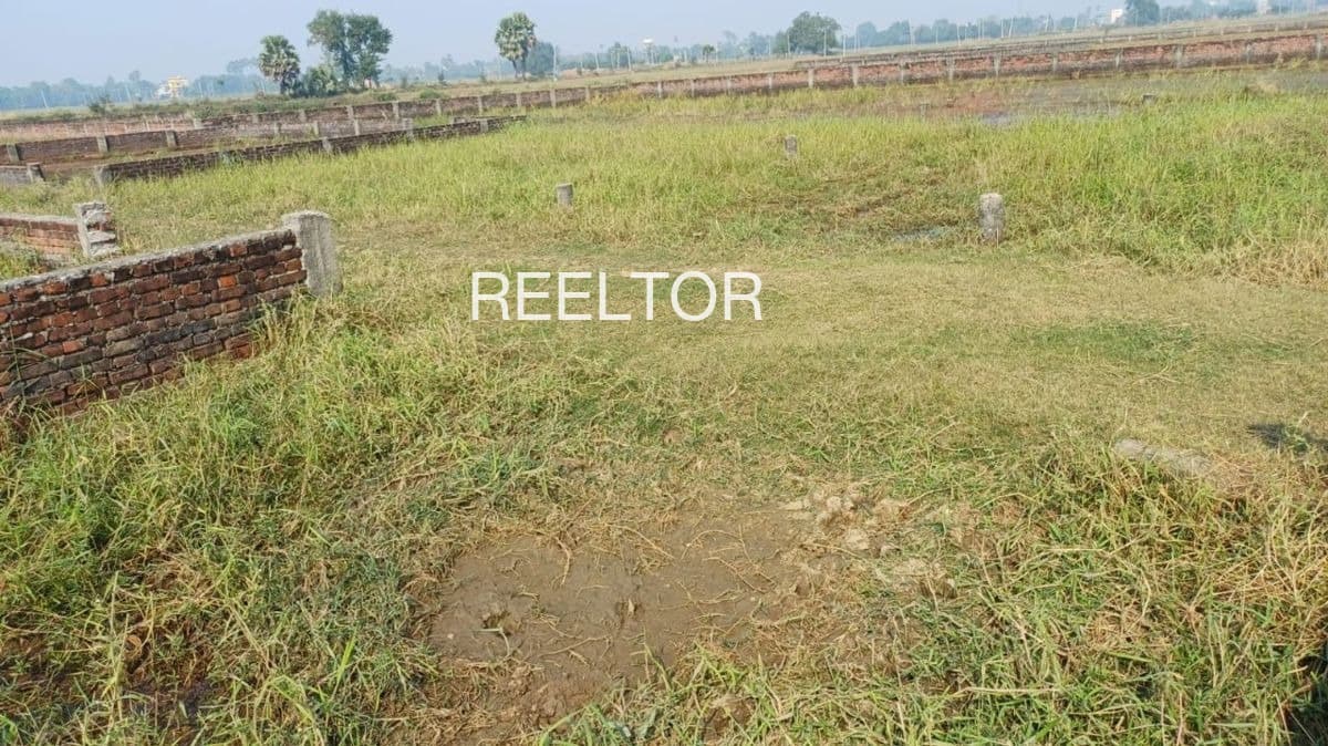 Plots For Rent In Thirumangalam Colony Chavakkad