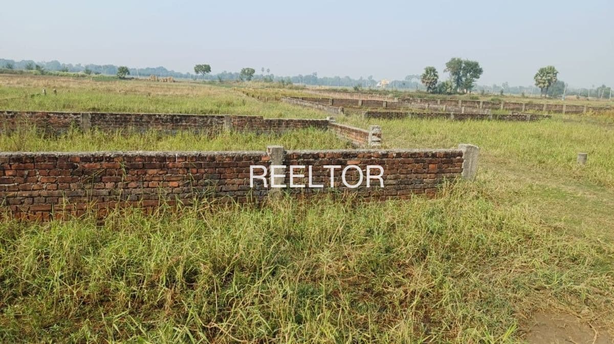 Plots For Rent In Bhuma Chhota Lachhmangarh
