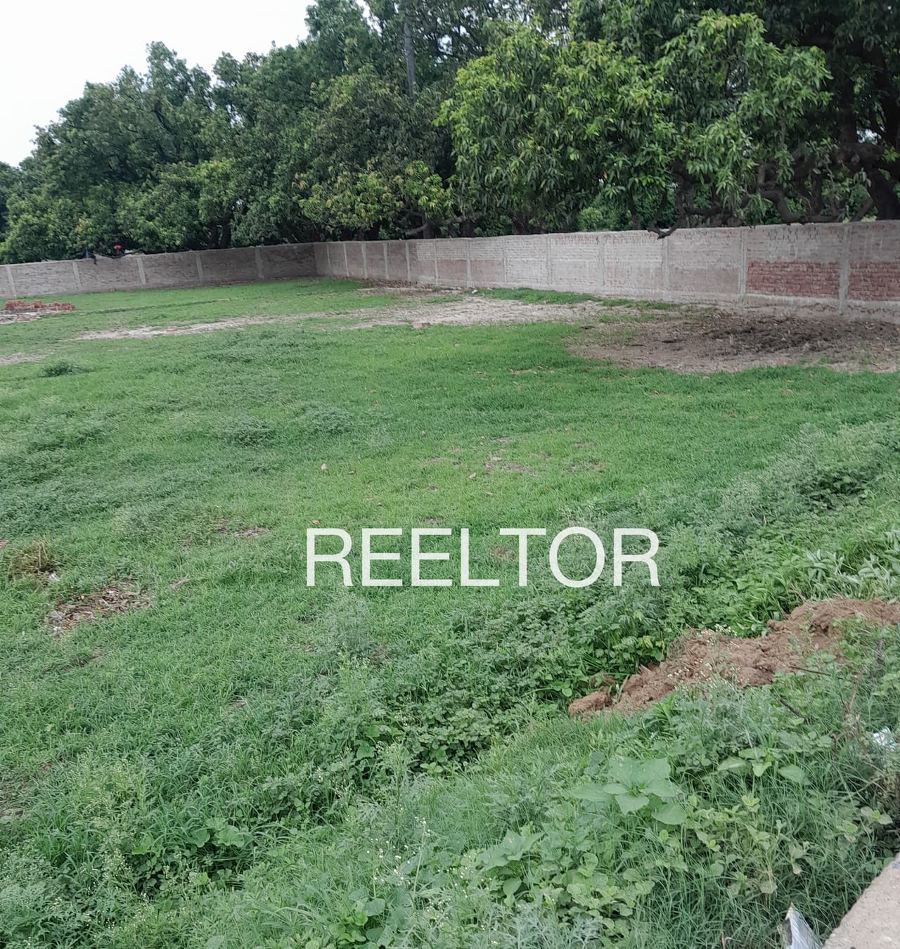 Plots For Rent In Sundroli Dhoomakot