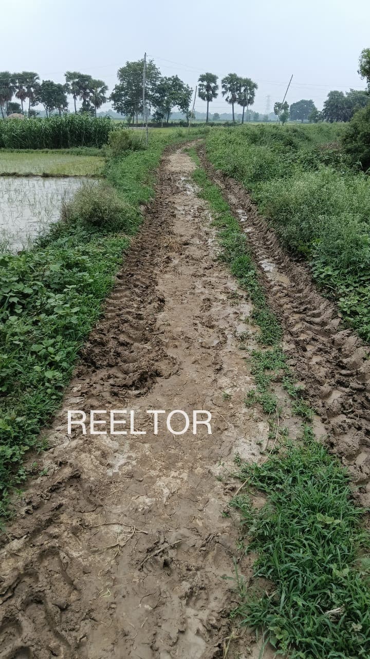 Plots For Rent In Manki Salaiya Rahatgarh