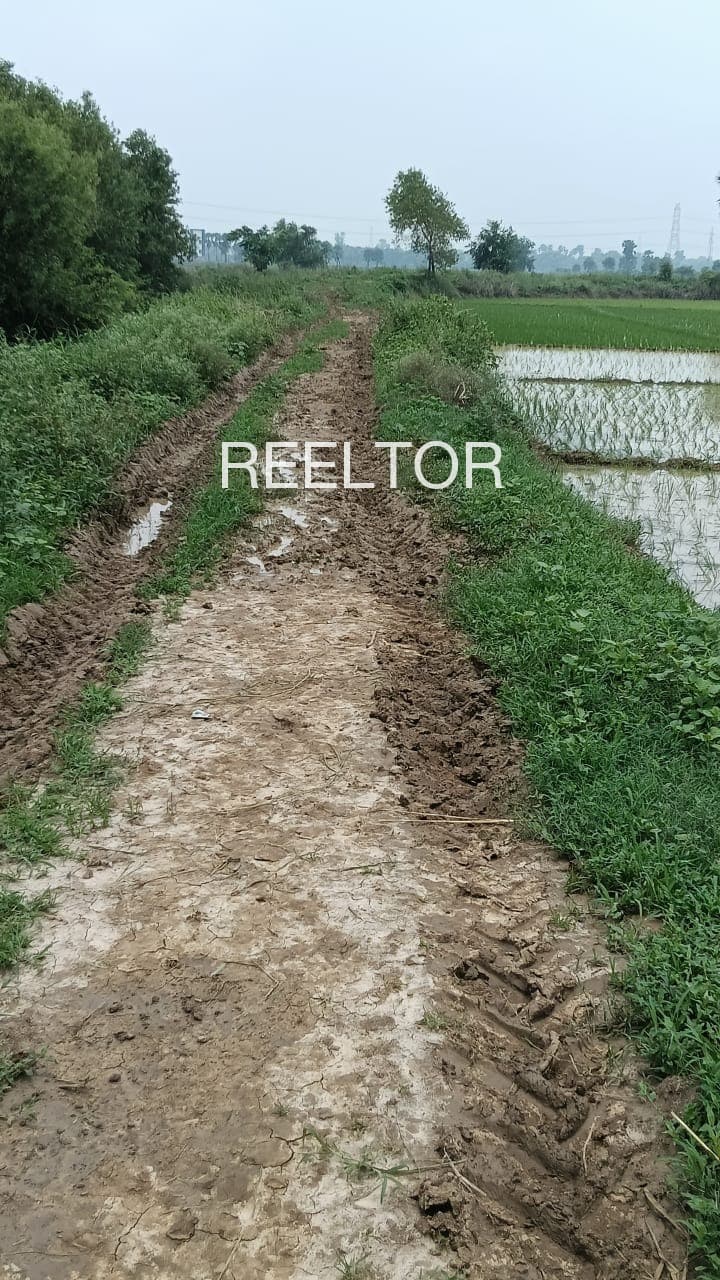 Plots For Rent In Majwas Pangi