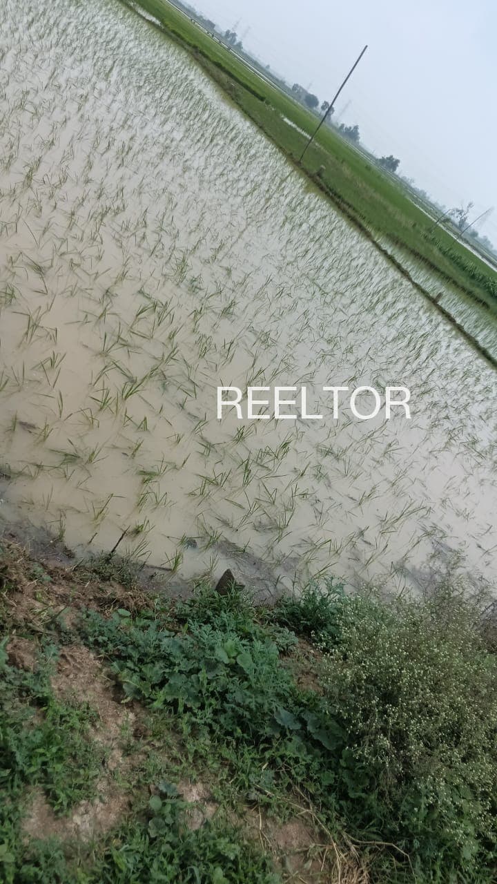 Plots For Rent In Sreepur Bagher Khol Sonarpur