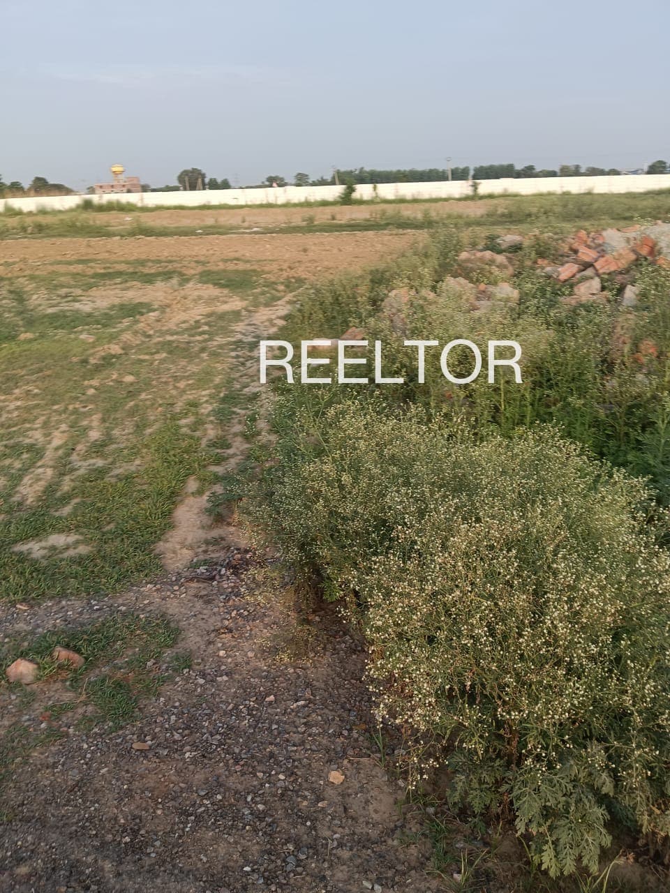 Plots For Rent In Damehr Jogindarnagar