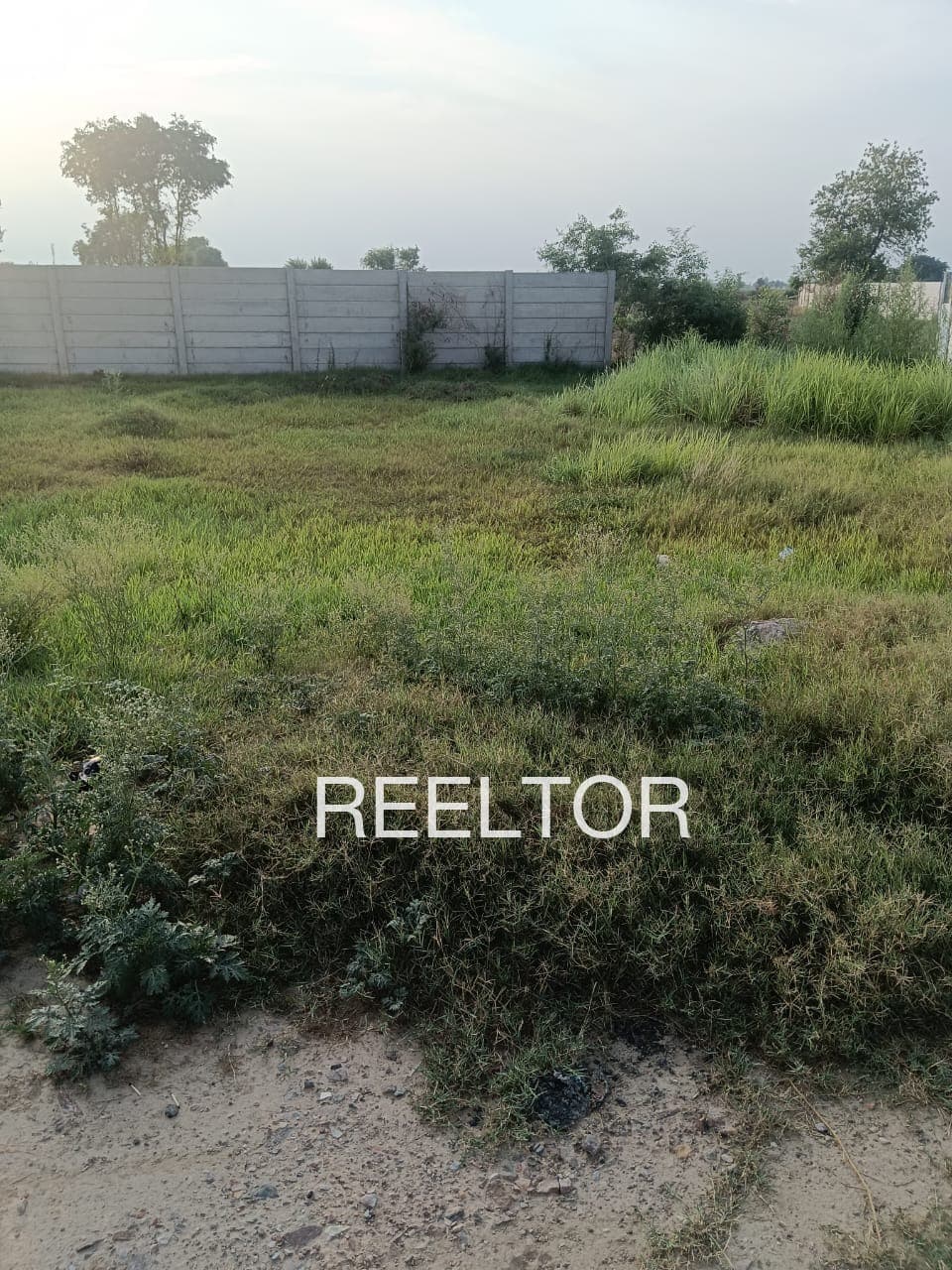 Plots For Rent In Paddaimooly Colony Kasaragod