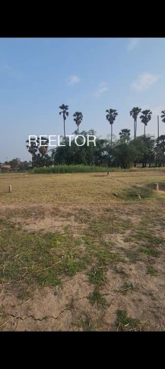 Plots For Rent In Poovattoor Kottarakkara