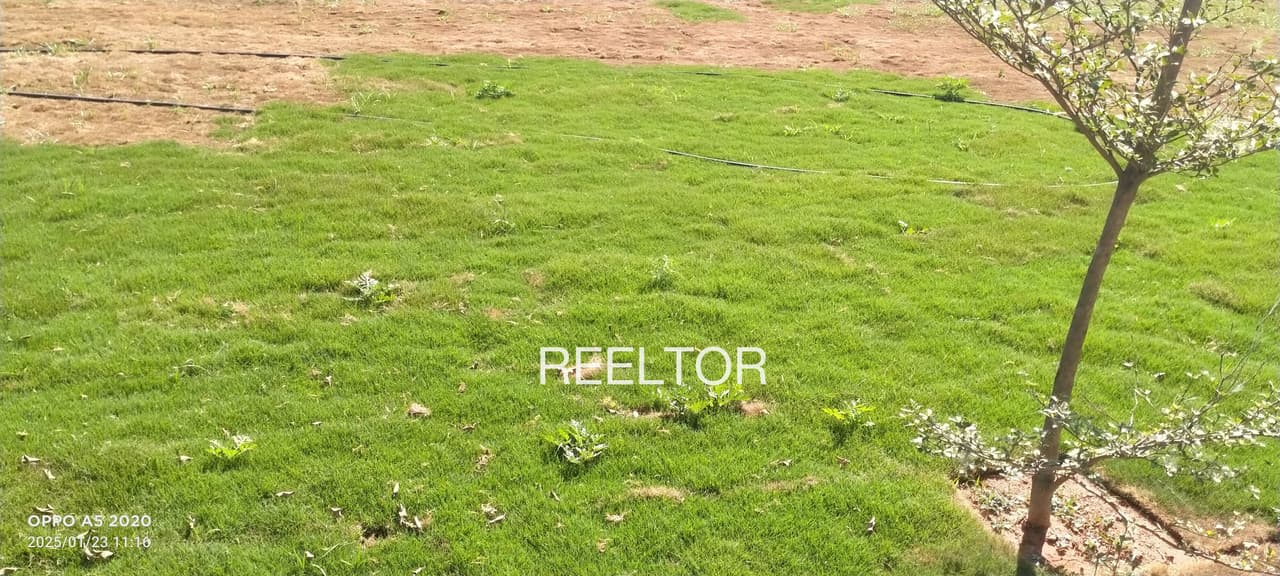 Plots For Rent In Neem Khea Niwari