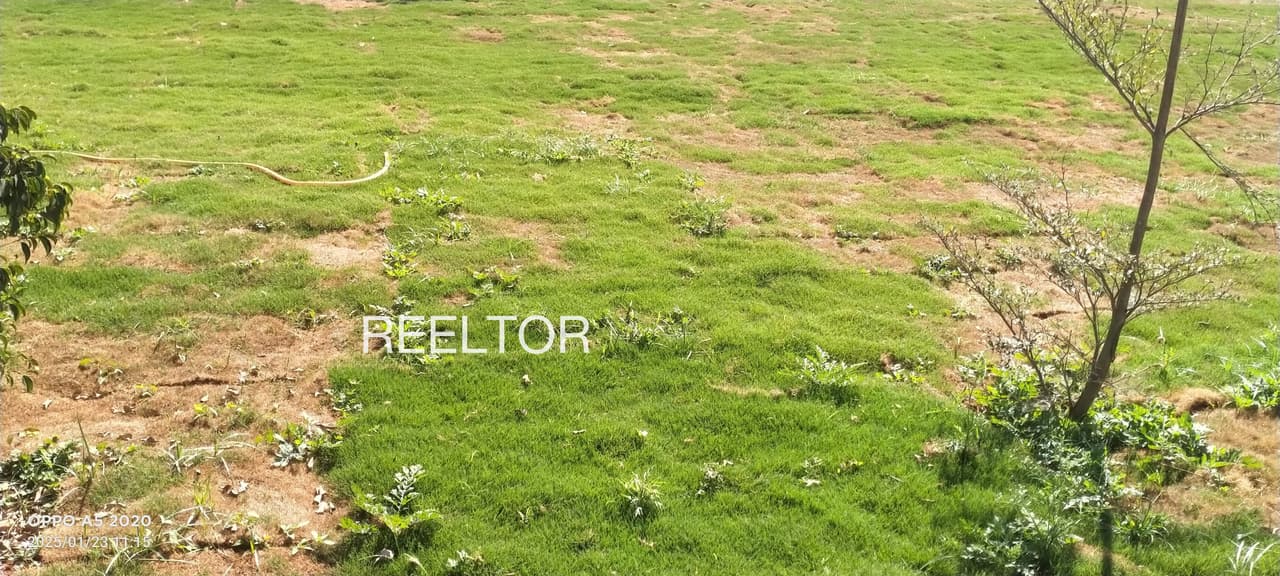 Plots For Rent In Gyanpura Bhind