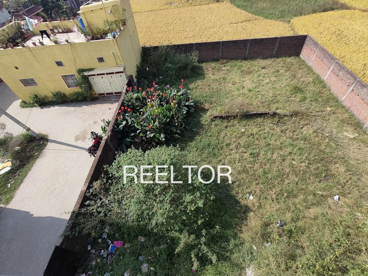 Plots For Rent In Barki Koiya Gola