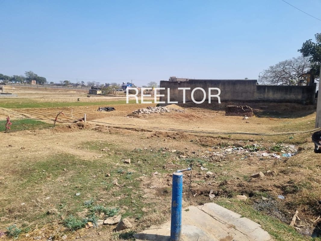 Plots For Rent In Kali Kandaghat