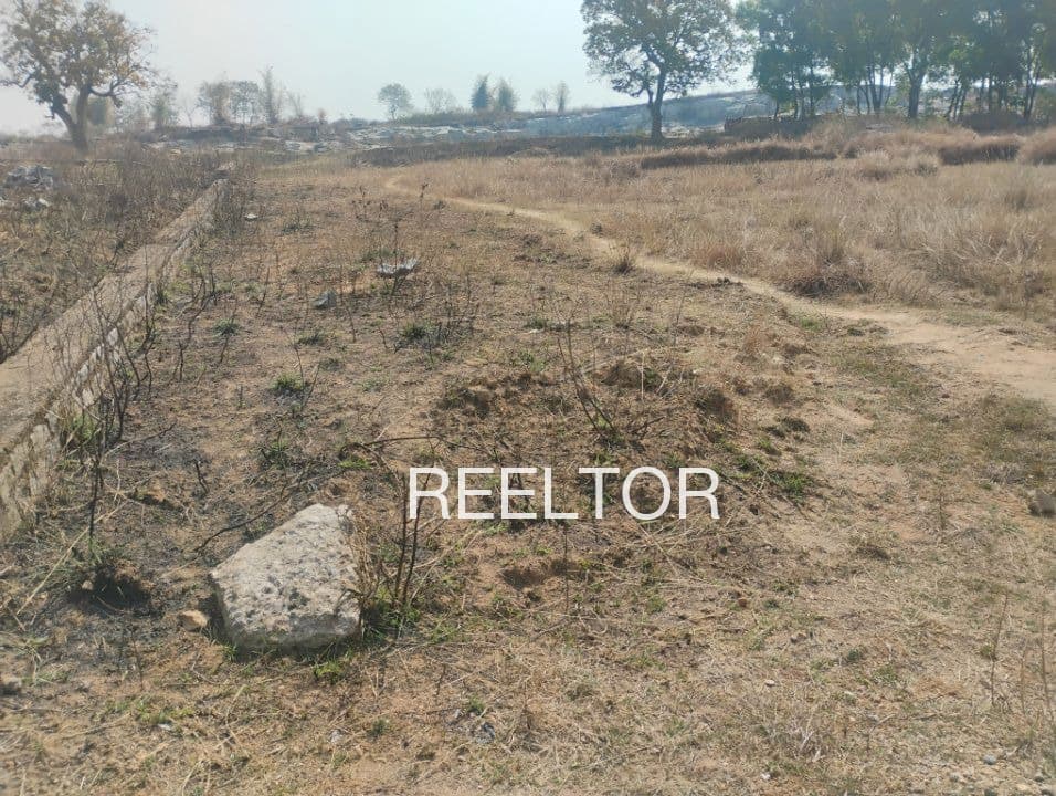 Plots For Rent In Chotra Biaora