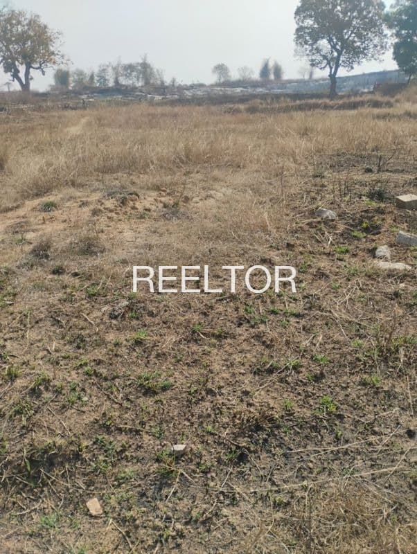 Plots For Rent In Imail Kheda Gulana