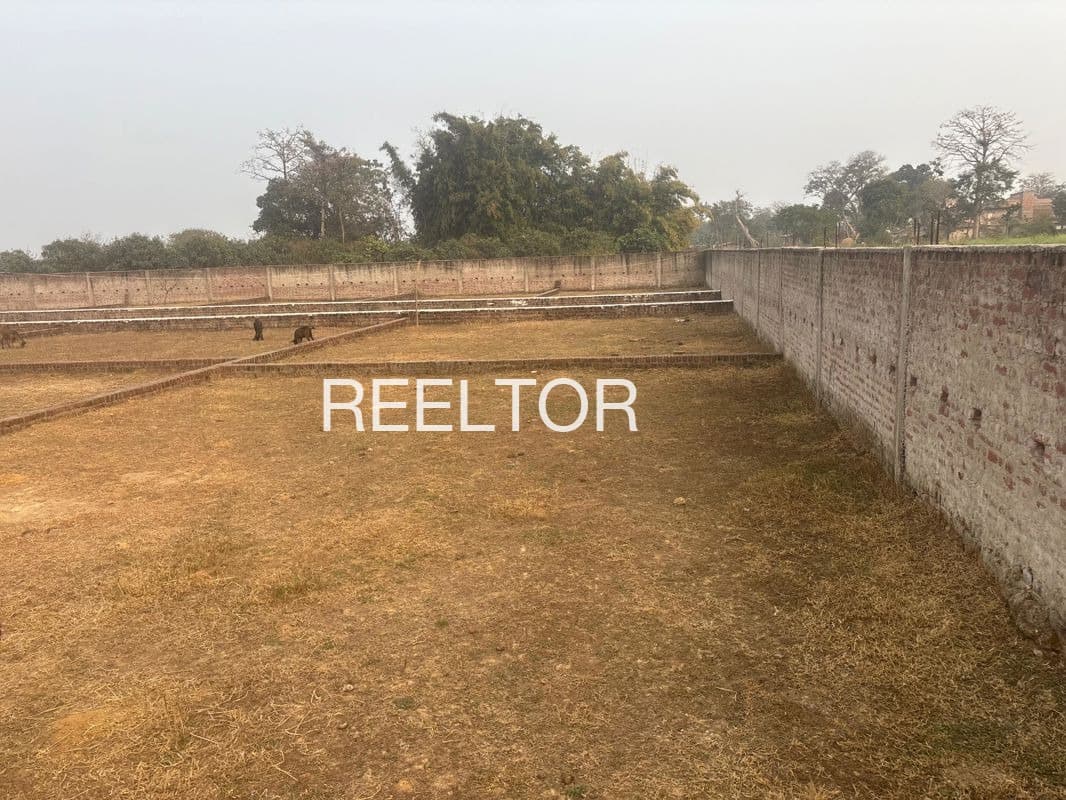 Plots For Rent In Ghuttigarh Betul