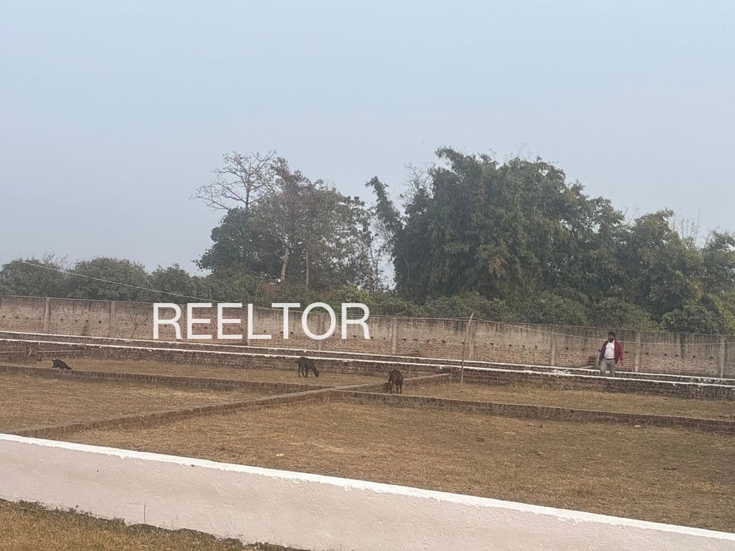Plots For Rent In Badokhri Mihona