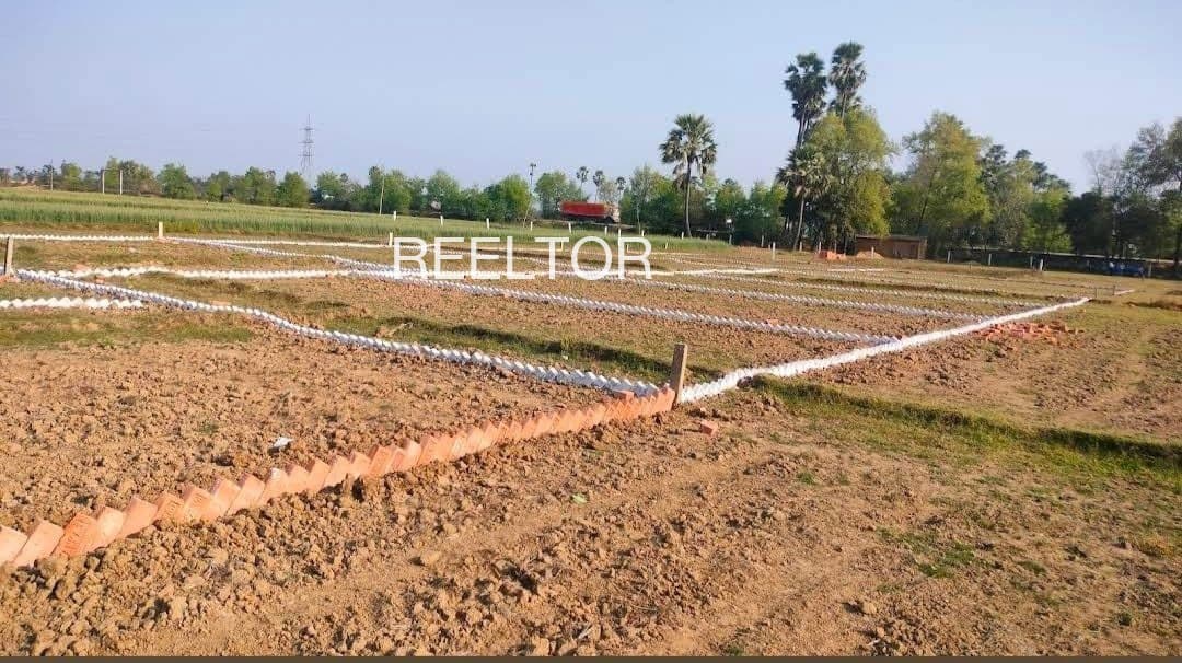Plots For Rent In Chotana Mahesana