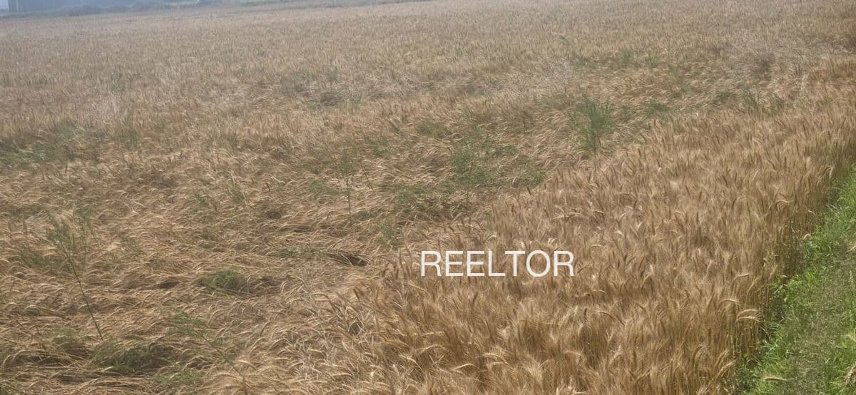 Plots For Rent In Tokarkhera Khandwa