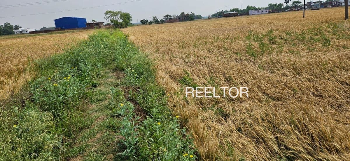 Plots For Rent In Kilmattur Tharangambadi