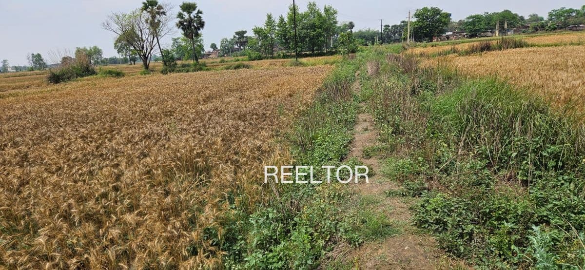 Plots For Rent In Khokari Dhorap Pauni
