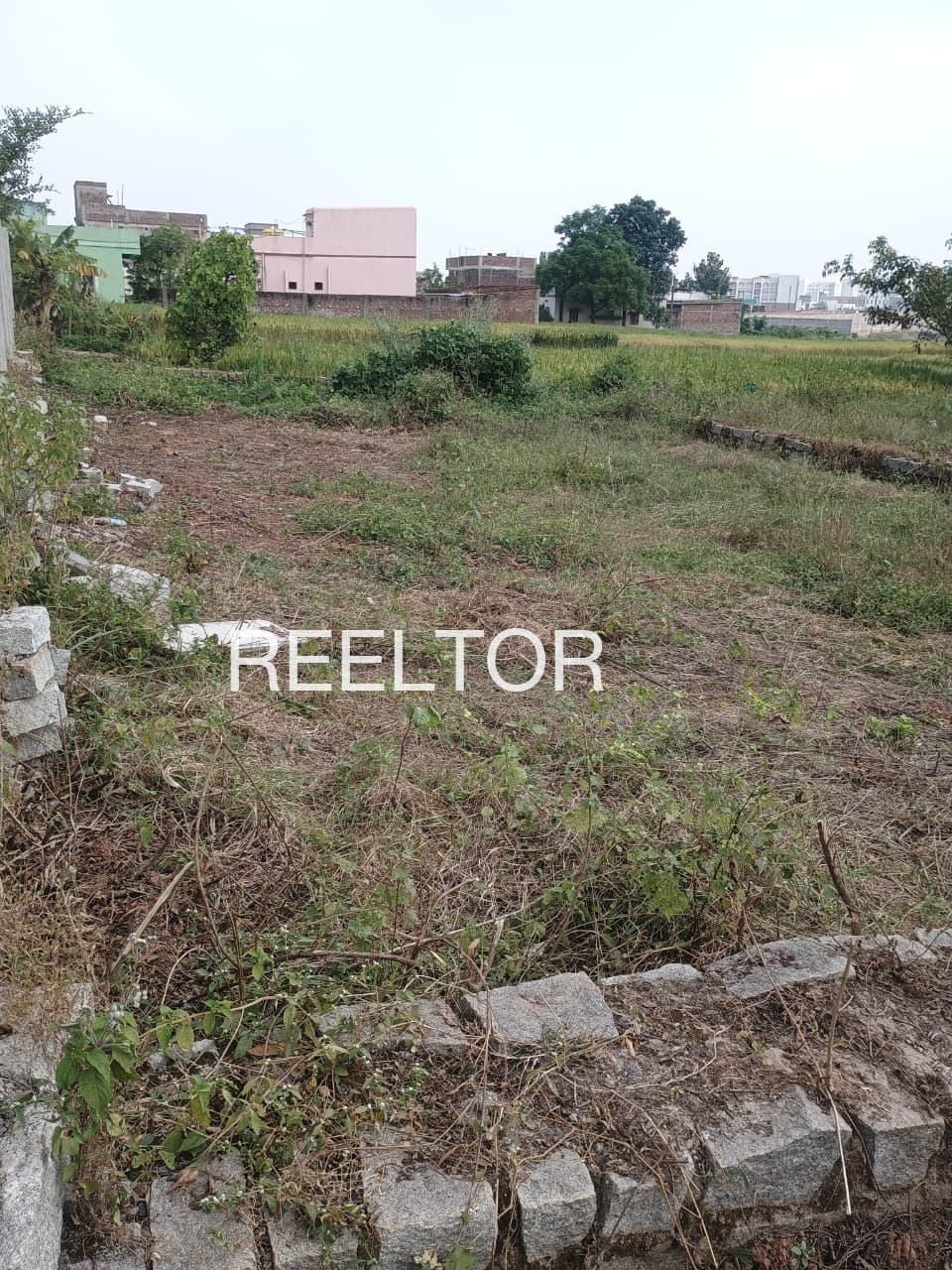 Plots For Rent In Dongrale Malegaon