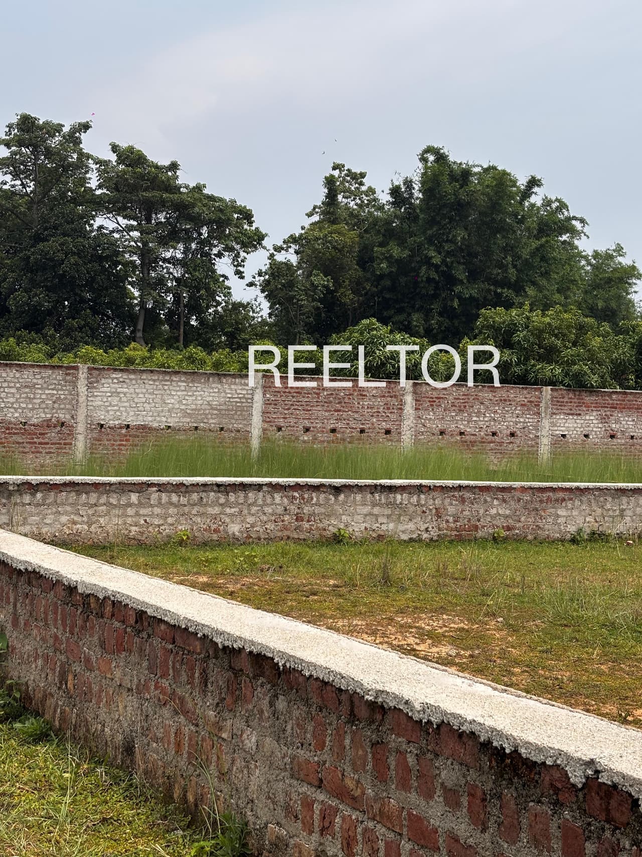 Plots For Rent In Babina Uttar Pradesh