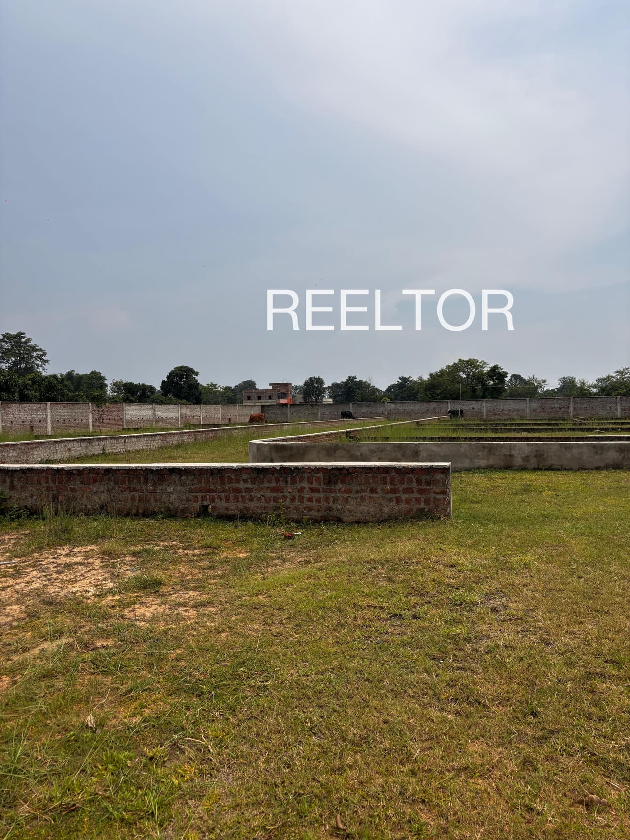 Plots For Rent In Jambharun Parande Washim