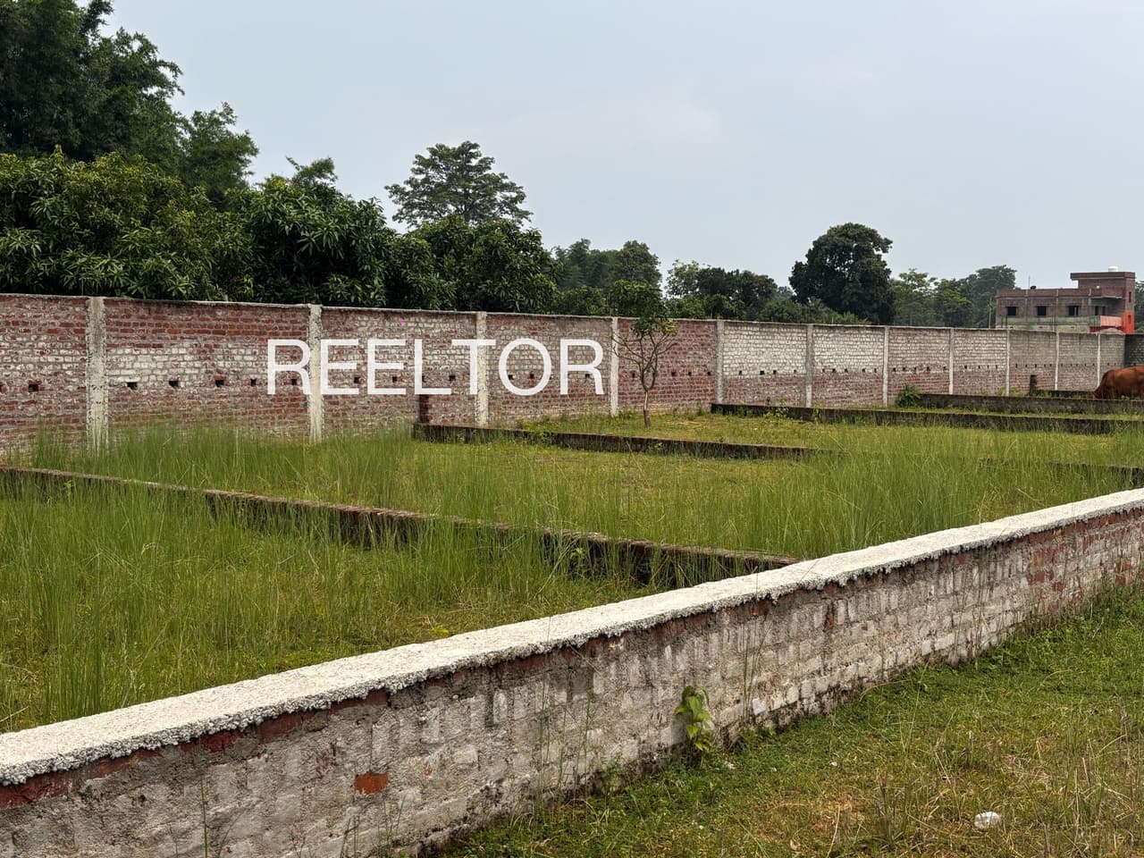 Plots For Rent In Kopatuli Kalimela