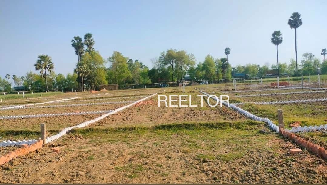 Plots For Rent In Nimnagaon Nasrullaganj