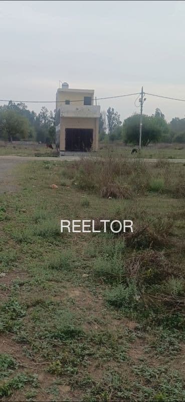 Plots For Rent In Ratanpuriya Jawad