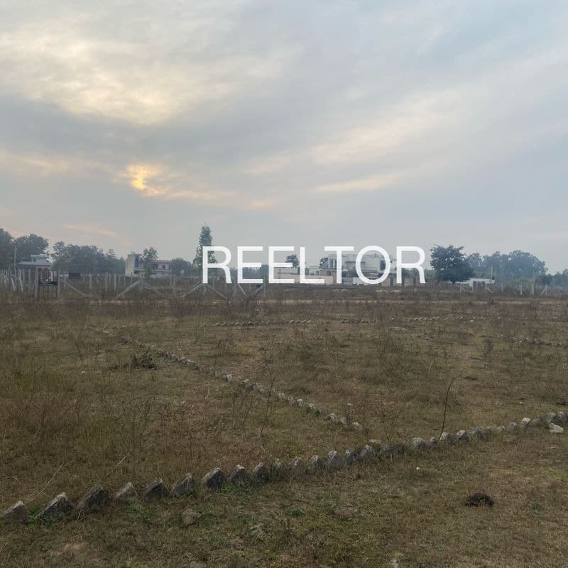 Plots For Rent In Panje Ke Uttar Guruharsahai